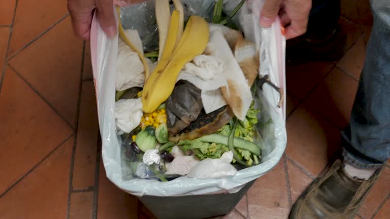 Best Commercial Junk Removal  in Northeast Ithaca, NY